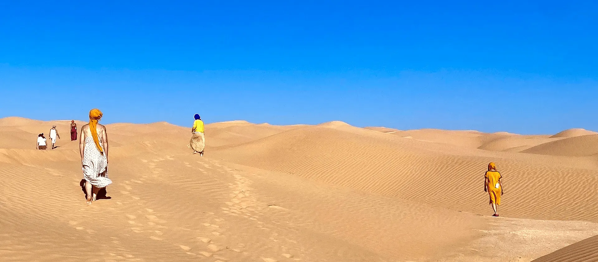 kamel transhumance marche dans le desert